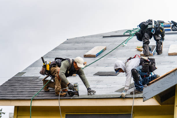 Professional Gutter Installation technician working in Trevilians, VA